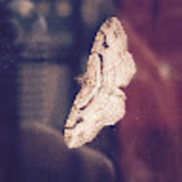 addymay422